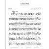 Tempest Hora - Image 2