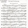 Death and Transfiguration - Annotated Bass Clarinet Part with Performance Notes by Michael Drapkin - Image 2