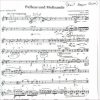 Schoenberg - Pelleas und Melisande - Annotated Bass Clarinet Part with Performance Notes by André Moisan - Image 2