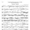 Berlioz: Symphonie Fantastique for Chamber Orchestra - Image 3