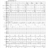 Strauss: Salome's Dance for Chamber Orchestra - Image 2