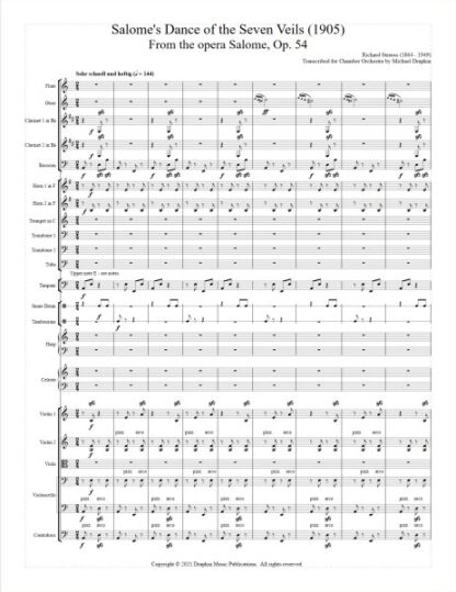 Strauss: Salome's Dance for Chamber Orchestra - Image 2