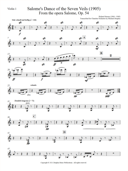 Strauss: Salome's Dance for Chamber Orchestra - Image 3