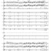 Waltz of the Snowflakes for Chamber Orchestra - Image 3