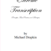 Extreme Transcription: Principles, Best Practices and Techniques - Image 3